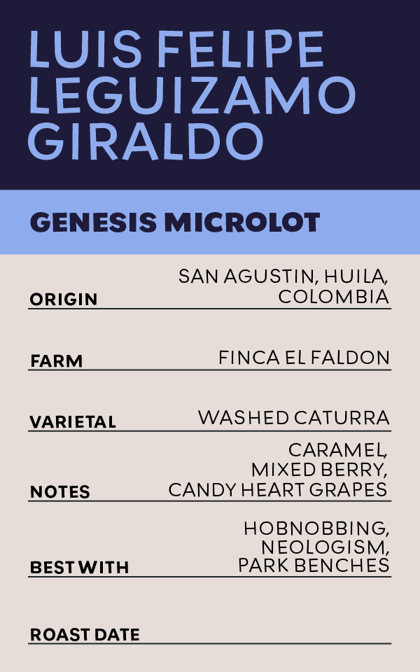 Luis Felipe Leguizamo Giraldo - Colombia - Washed Caturra