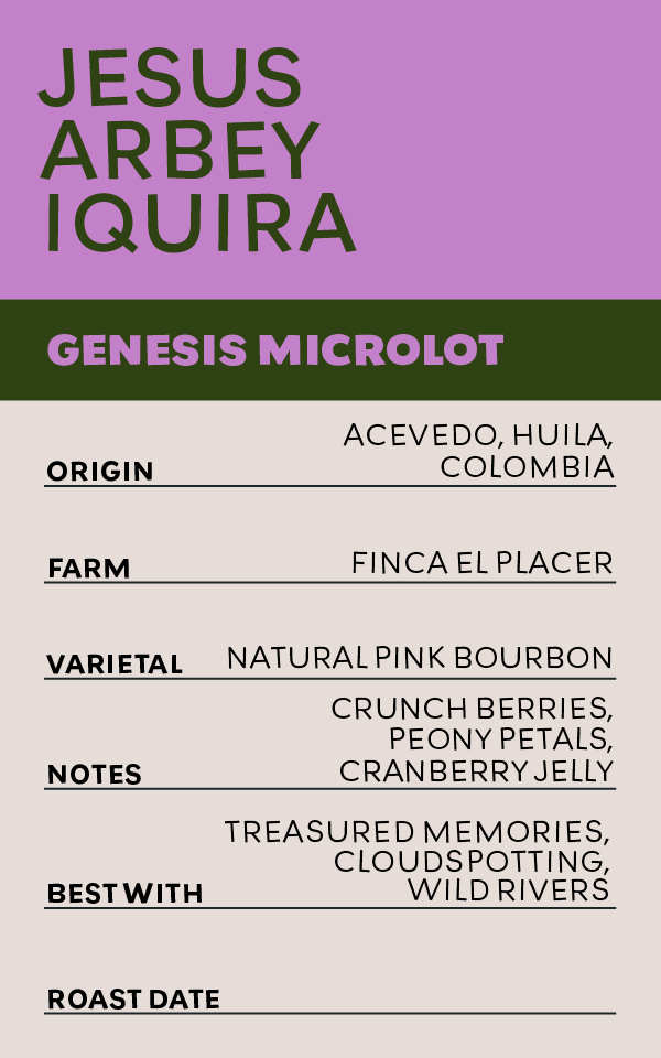 Jesus Arbey Iquira - Colombia - Natural Pink Bourbon