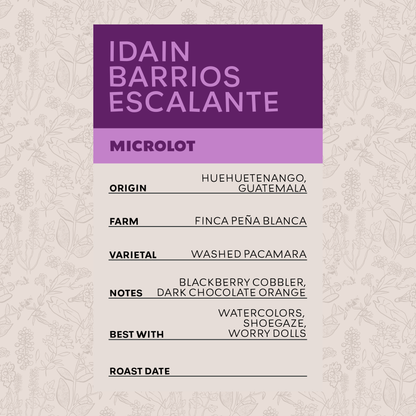 Idain Barrios Escalante - Huehuetenango Microlot