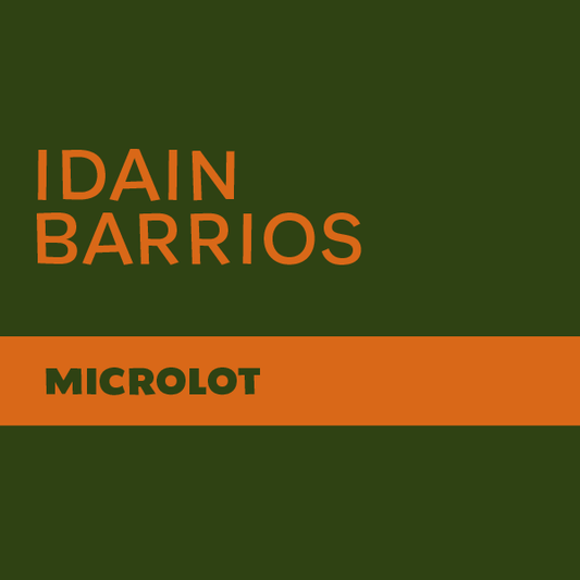 Idain Barrios - Guatemala - Microlot