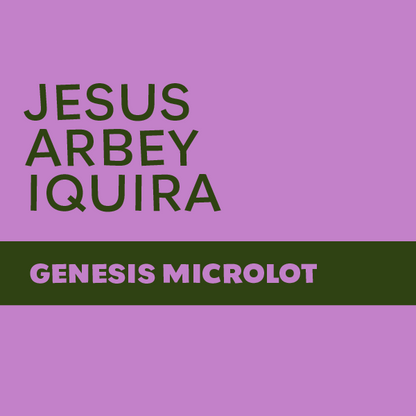 Jesus Arbey Iquira - Colombia - Natural Pink Bourbon
